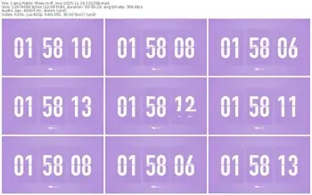 cams-ff_mur-11-18-2025-12-23-58