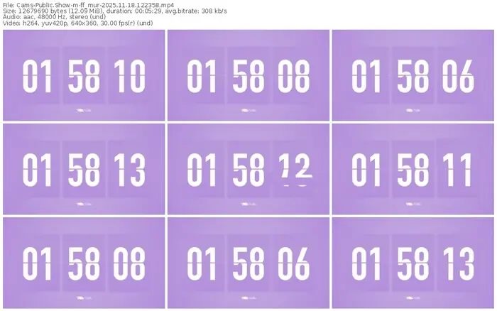 cams-ff_mur-11-18-2025-12-23-58