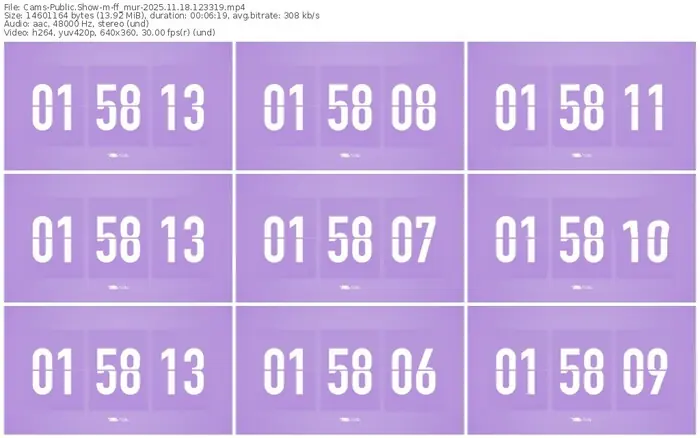 cams-ff_mur-11-18-2025-12-33-19