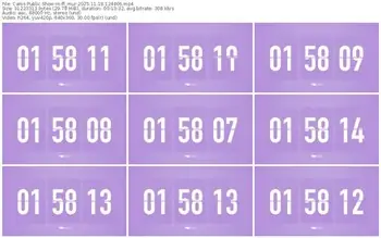 cams-ff_mur-11-18-2025-12-44-06