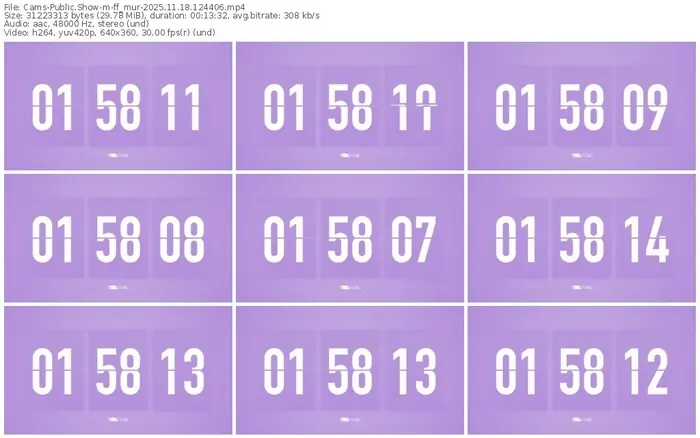 cams-ff_mur-11-18-2025-12-44-06