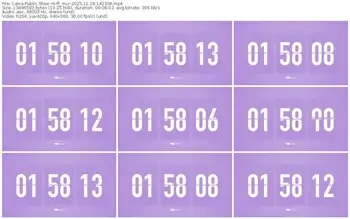 cams-ff_mur-11-18-2025-14-23-04