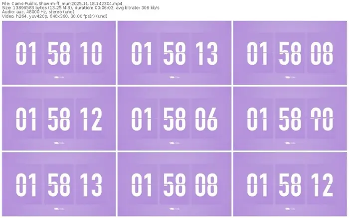 cams-ff_mur-11-18-2025-14-23-04