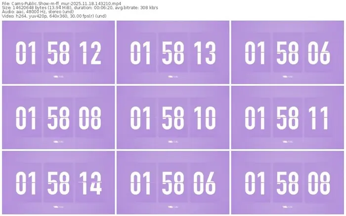 cams-ff_mur-11-18-2025-14-32-10