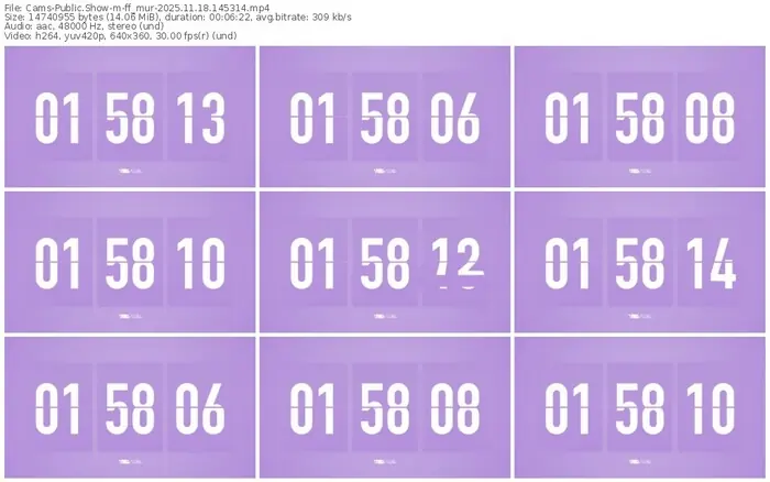 cams-ff_mur-11-18-2025-14-53-14