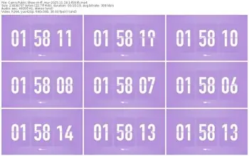 cams-ff_mur-11-18-2025-14-59-35