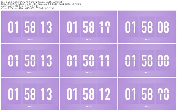 cams-ff_mur-11-18-2025-15-10-10