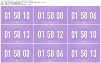 cams-ff_mur-11-18-2025-15-17-54