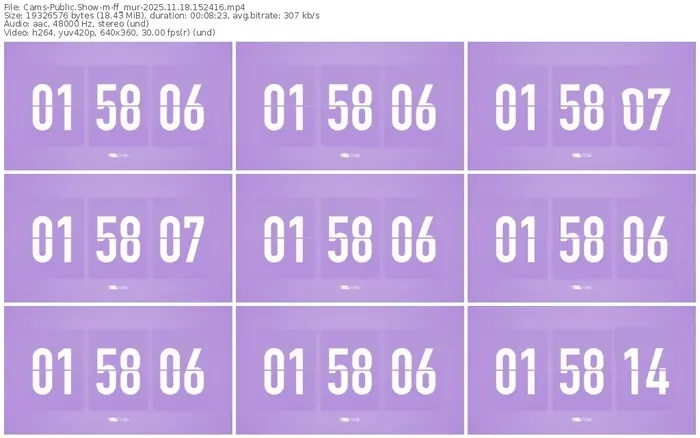 cams-ff_mur-11-18-2025-15-24-16