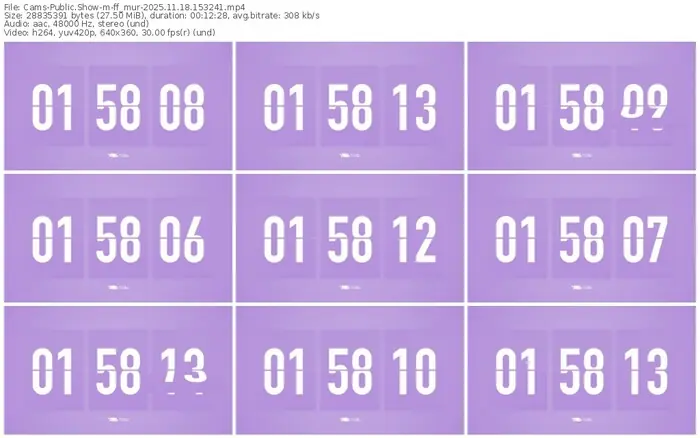 cams-ff_mur-11-18-2025-15-32-41