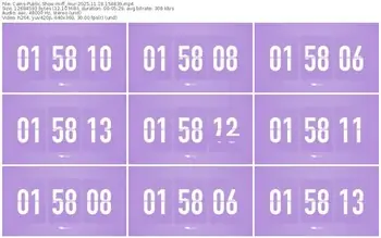 cams-ff_mur-11-18-2025-15-48-39