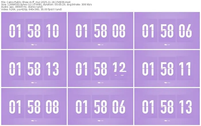 cams-ff_mur-11-18-2025-15-48-39