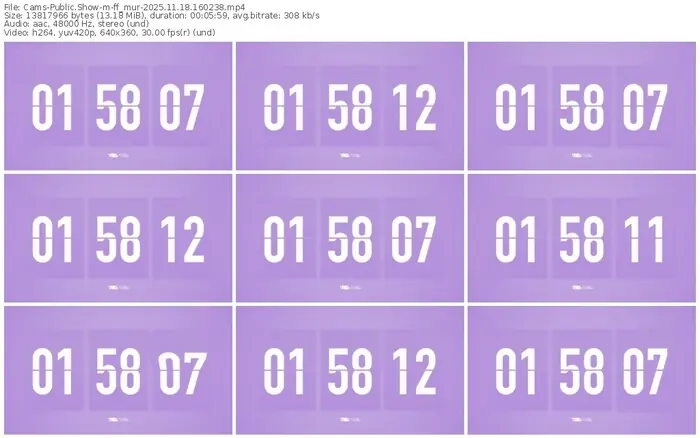 cams-ff_mur-11-18-2025-16-02-38