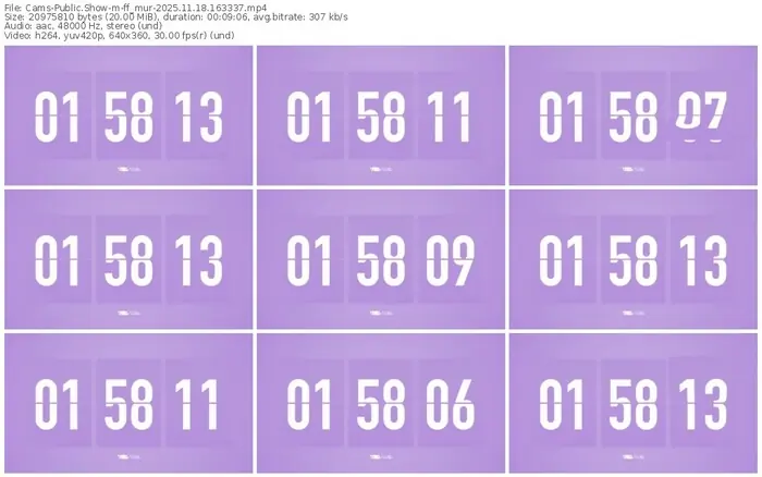 cams-ff_mur-11-18-2025-16-33-37