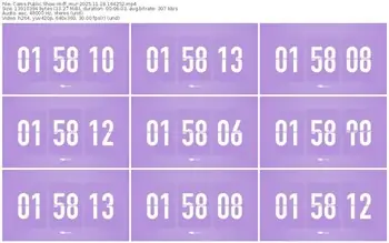 cams-ff_mur-11-18-2025-16-42-52