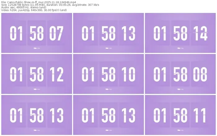 cams-ff_mur-11-18-2025-16-49-46