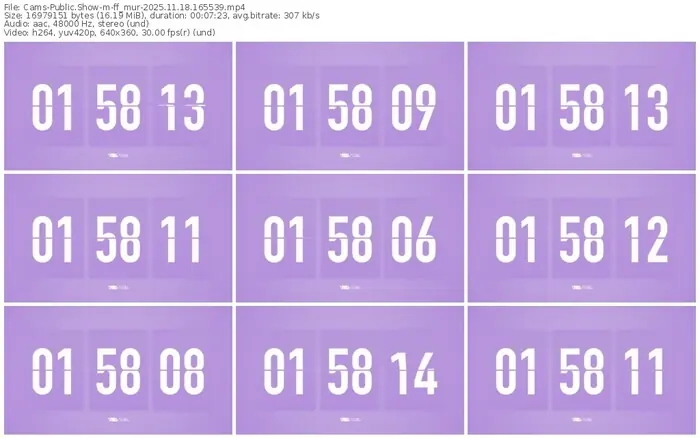 cams-ff_mur-11-18-2025-16-55-39