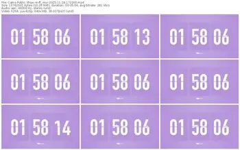 cams-ff_mur-11-18-2025-17-23-00