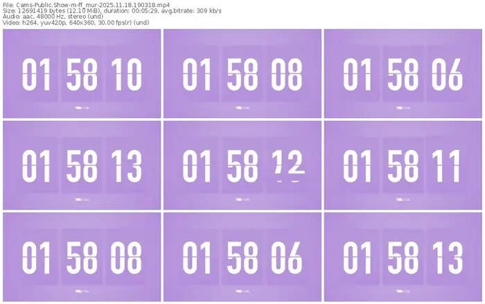 cams-ff_mur-11-18-2025-19-03-18