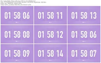 cams-ff_mur-11-18-2025-19-08-48