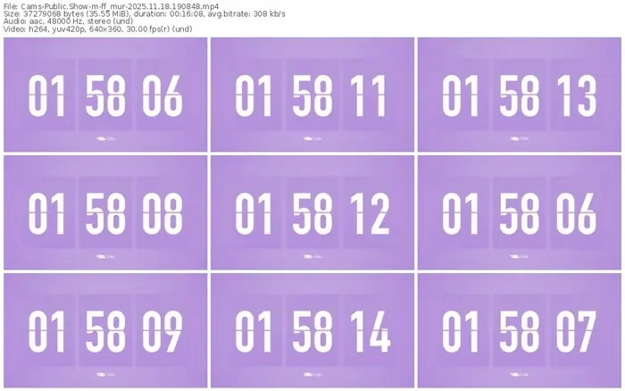 cams-ff_mur-11-18-2025-19-08-48