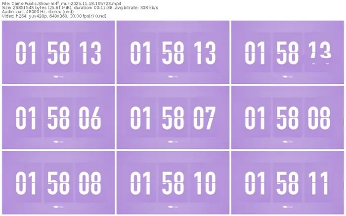 cams-ff_mur-11-18-2025-19-57-23