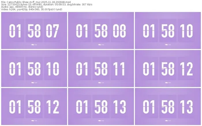 cams-ff_mur-11-18-2025-20-28-48