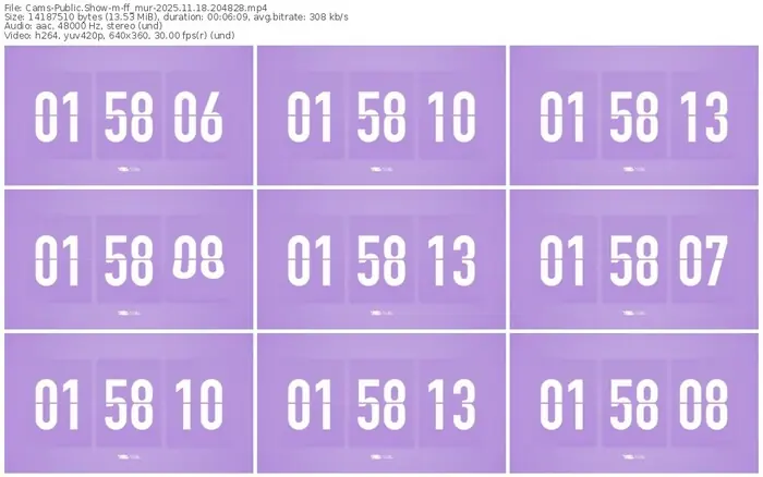 cams-ff_mur-11-18-2025-20-48-28