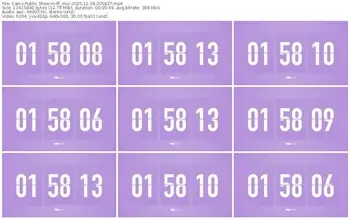 cams-ff_mur-11-18-2025-20-58-27