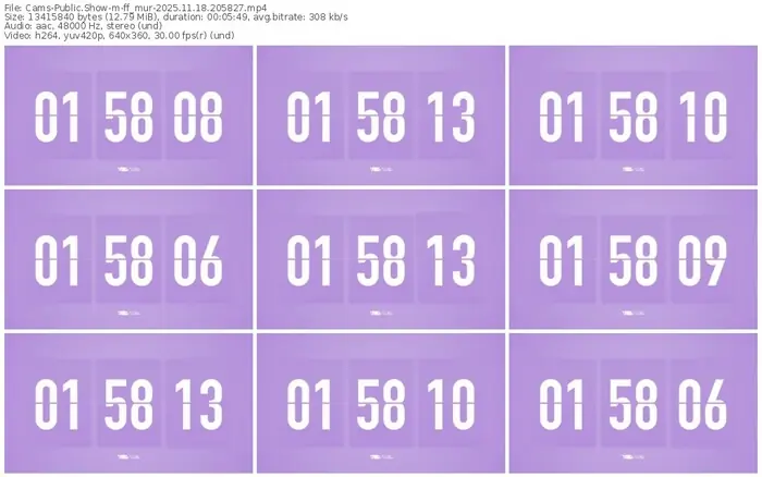 cams-ff_mur-11-18-2025-20-58-27