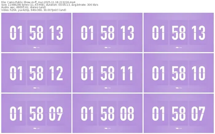 cams-ff_mur-11-18-2025-21-32-24