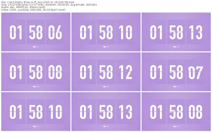 cams-ff_mur-11-18-2025-22-47-28