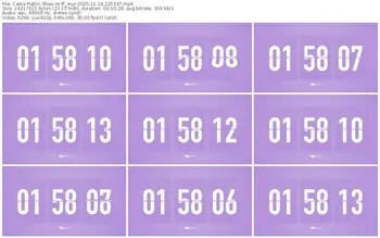 cams-ff_mur-11-18-2025-22-53-37