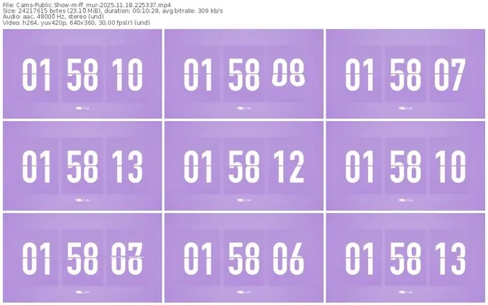 cams-ff_mur-11-18-2025-22-53-37