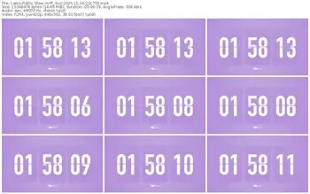 cams-ff_mur-11-18-2025-23-17-55