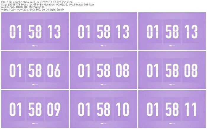 cams-ff_mur-11-18-2025-23-17-55