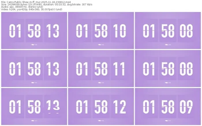 cams-ff_mur-11-18-2025-23-38-12