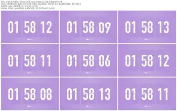 cams-ff_mur-11-18-2025-23-59-30