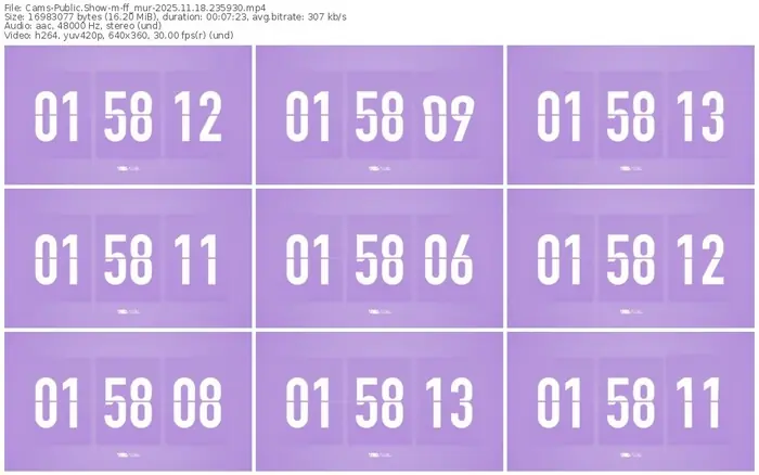 cams-ff_mur-11-18-2025-23-59-30