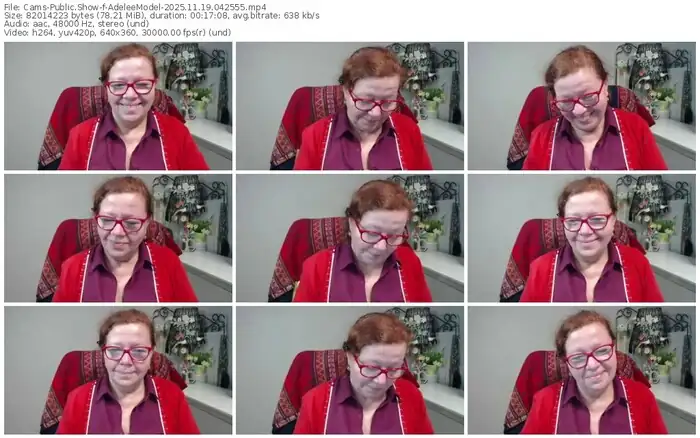 cams-adeleemodel-11-19-2025-04-25-55