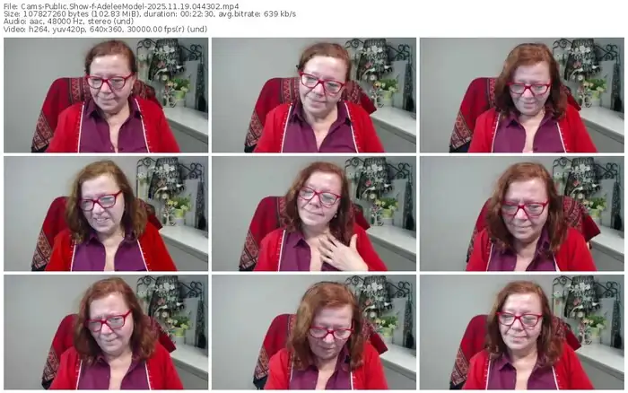 cams-adeleemodel-11-19-2025-04-43-02