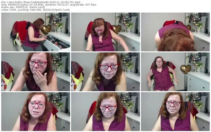 cams-adeleemodel-11-19-2025-05-17-41