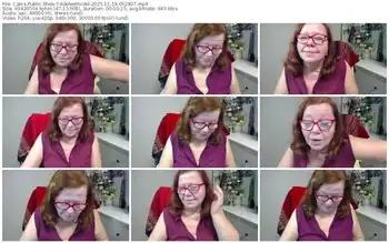 cams-adeleemodel-11-19-2025-05-28-07