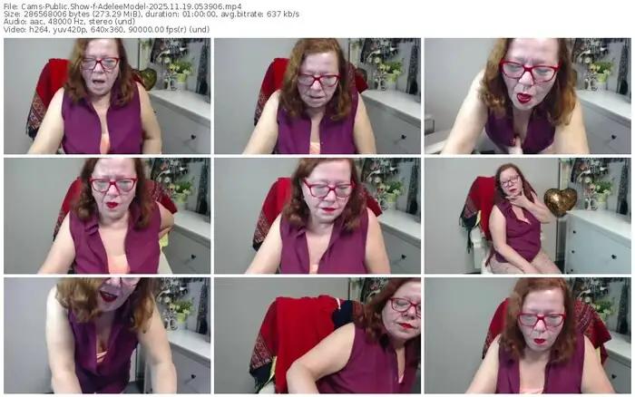 cams-adeleemodel-11-19-2025-05-39-06