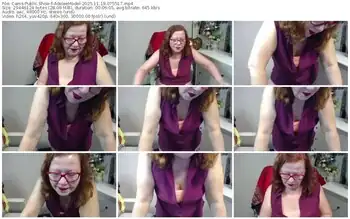 cams-adeleemodel-11-19-2025-07-55-17