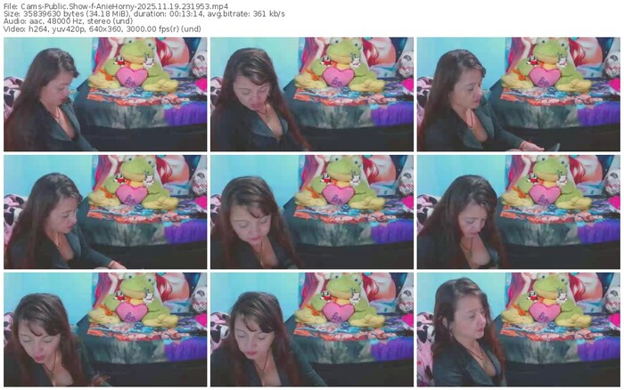 cams-aniehorny-11-19-2025-23-19-53