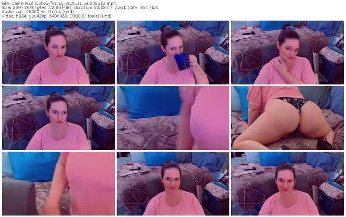 cams-ninaj-11-19-2025-00-55-12