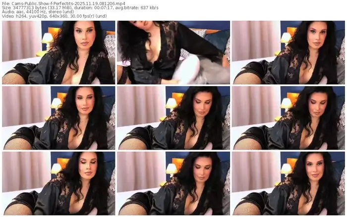 cams-perfectits-11-19-2025-08-12-06