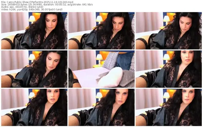 cams-perfectits-11-19-2025-10-12-40