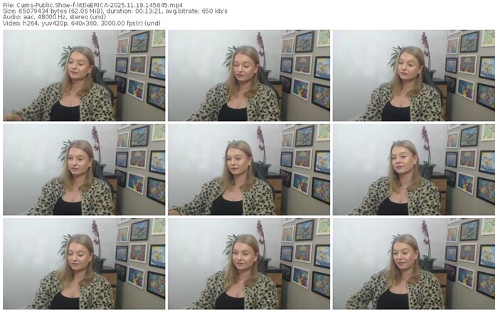 cams-littleerica-11-19-2025-14-56-45